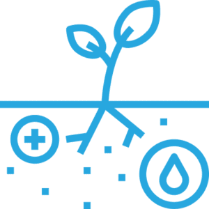 Root and soil mapping icon.